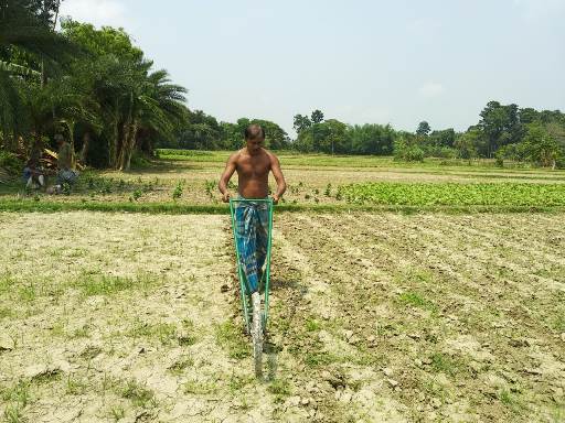 Weeding in the jute field using cycle weeder